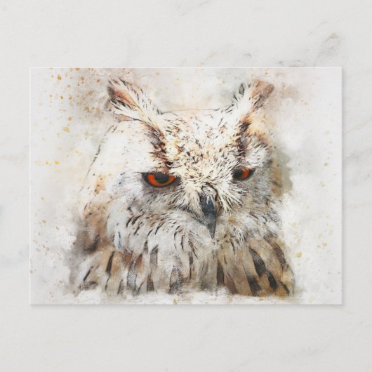 Carte Postale Chouette mignonne (Devant)