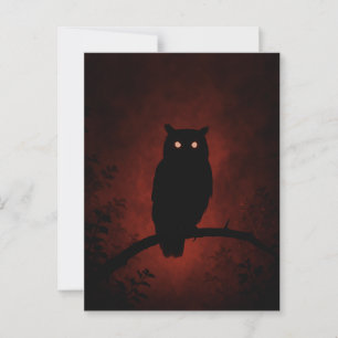 Carte Postale Chouette mystérieuse dans la nuit