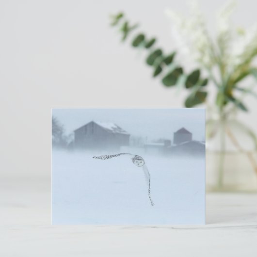 Carte Postale Chouette Neige En Vol En Hiver (Debout devant)