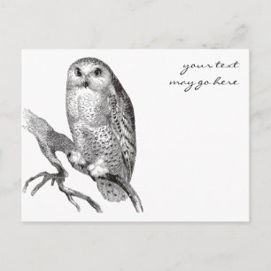 Carte postale Chouette neige vintage