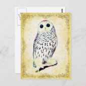 Carte postale Chouette neigeuse (Devant / Derrière)