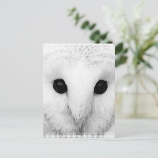 Carte postale Chouette neigeuse (Debout devant)