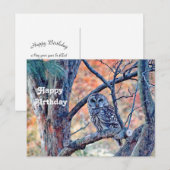 Carte Postale Chouette rayée Photo d'arbre d'anniversaire de la  (Devant / Derrière)