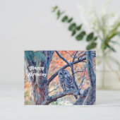 Carte Postale Chouette rayée Photo d'arbre de fête d'anniversair (Debout devant)