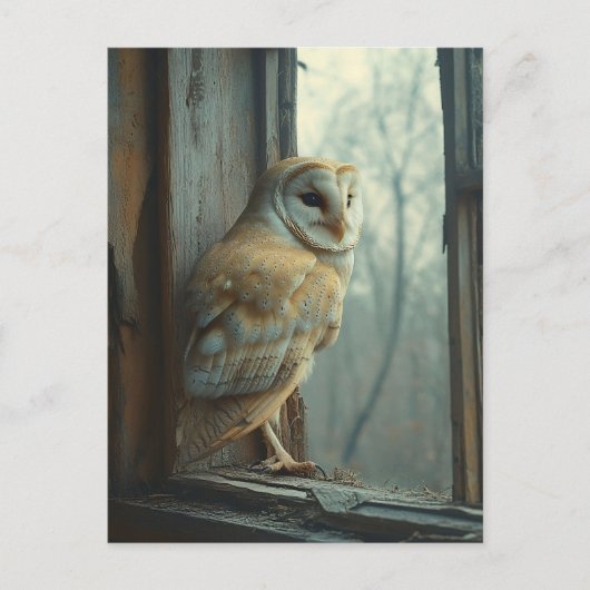 Carte Postale Chouette Rustique Dans L'Art Fenêtre (Devant)