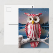 Carte Postale Chouette Sucre de canne Imaginaire (Devant / Derrière)