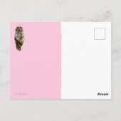 Carte Postale Chouette t'aime toujours (Dos)