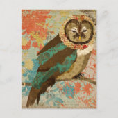 Carte postale Chouette turquoise (Devant)