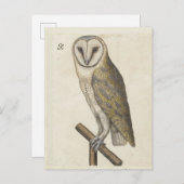 Carte postale Chouette vintage (Devant / Derrière)