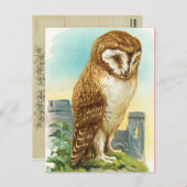 Carte Postale Chouette vintage (Devant / Derrière)