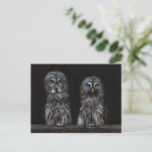 Carte Postale Chouettes (Debout devant)