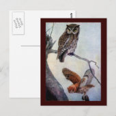 Carte Postale Chouettes à cris de l'Est (Devant / Derrière)