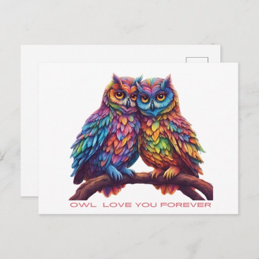 Carte Postale Chouettes colorées-Inséparables-Saint-Valentin (Devant / Derrière)