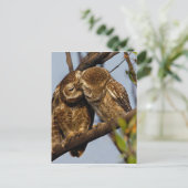 Carte Postale Chouettes de baiser (Debout devant)