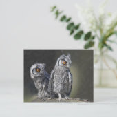 Carte postale Chouettes pour bébés (Debout devant)