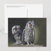 Carte postale Chouettes pour bébés (Devant / Derrière)