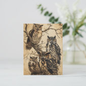 Carte Postale Chouettes vintages astucieuses (Debout devant)