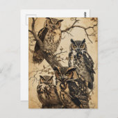 Carte Postale Chouettes vintages astucieuses (Devant / Derrière)