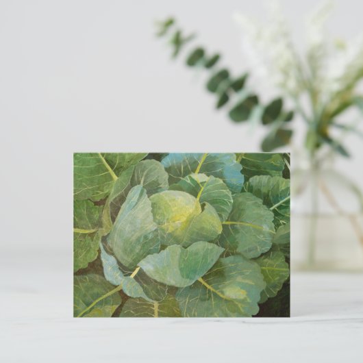 Carte Postale Choux (Debout devant)