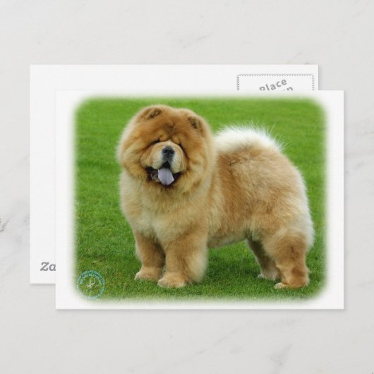 Carte Postale Chow Chow 9B008D-06 (Devant / Derrière)