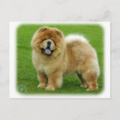 Carte Postale Chow Chow 9B008D-06 (Devant)