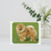 Carte Postale Chow Chow 9B008D-17 (Debout devant)