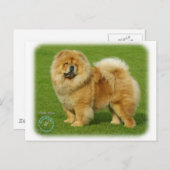 Carte Postale Chow Chow 9B008D-17 (Devant / Derrière)