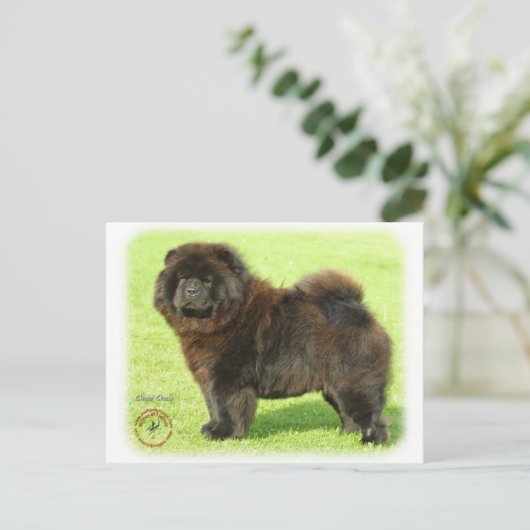 Carte Postale Chow Chow 9B011D-08 (Debout devant)
