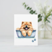 Carte Postale Chow Chow Chien (Debout devant)