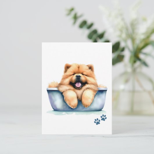 Carte Postale Chow Chow Chien (Debout devant)