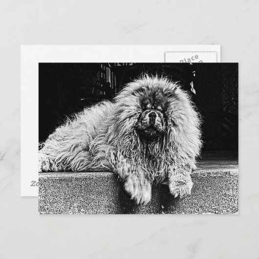 Carte Postale Chow Chow Dog on Porch, Black and White (Devant / Derrière)