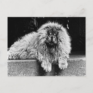 Carte Postale Chow Chow Dog on Porch, Black and White