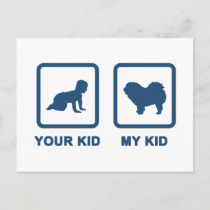 Carte Postale Chow Chow Rough-Coat