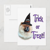 Carte Postale Chow Chow Trick (Devant / Derrière)