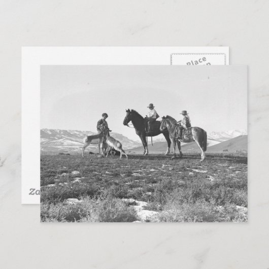 Carte Postale Choyer des antilopes (Devant / Derrière)