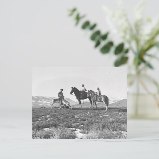 Carte Postale Choyer des antilopes (Debout devant)