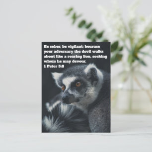 Carte postale chrétienne du suricate