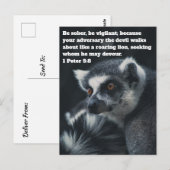 Carte postale chrétienne du suricate (Devant / Derrière)