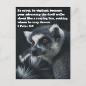Carte postale chrétienne du suricate (Devant)