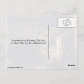 Carte Postale Christ à Emmaus Par Rembrandt Van Rijn (Dos)