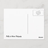 Carte Postale Christchurch - Dorset - Royaume-Uni (Dos)