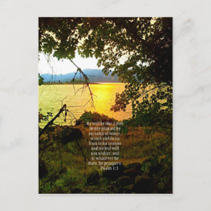 Carte Postale Christian Bible Verse Lac Paysage Créationarts