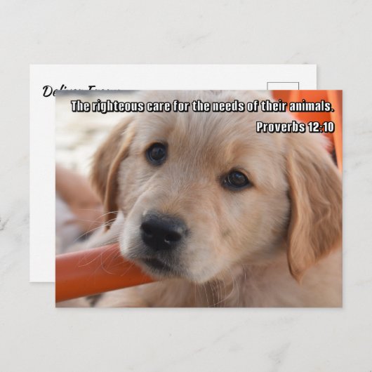 Carte postale Christian Puppy (Devant / Derrière)