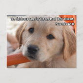 Carte postale Christian Puppy (Devant)