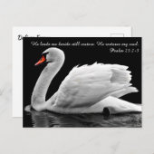 Carte postale Christian Swan (Devant / Derrière)