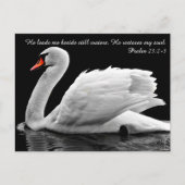 Carte postale Christian Swan (Devant)