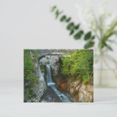 Carte Postale Christine Falls (Debout devant)