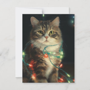 Carte Postale Christmas Cat