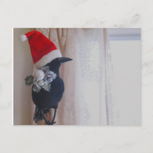 Carte postale Christmas Crow