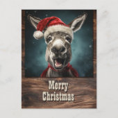Carte Postale Christmas Donkey (Devant)